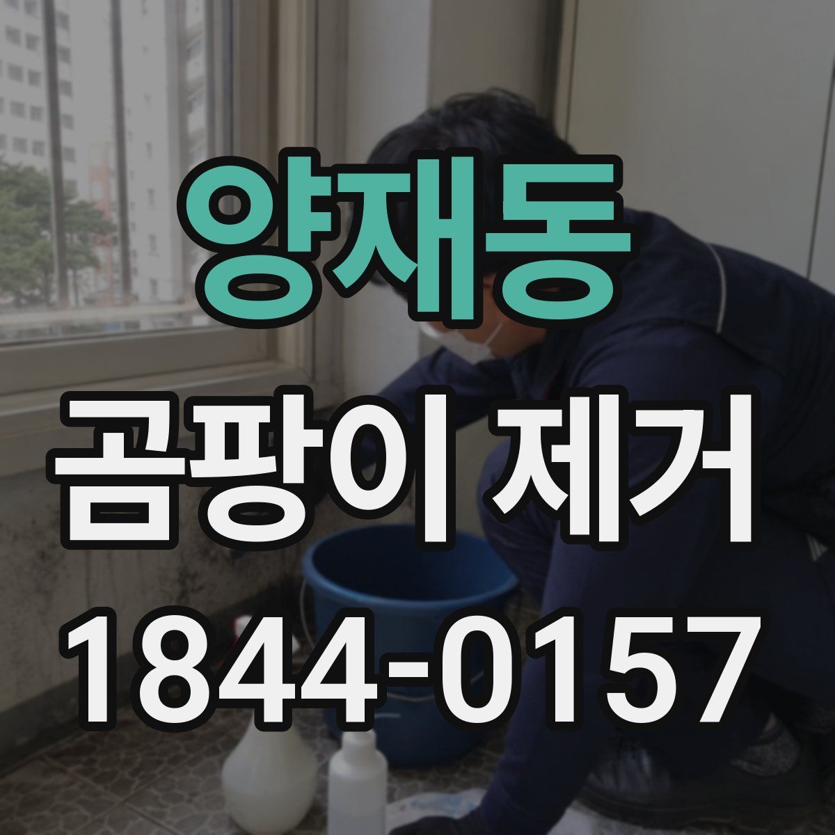 양재동 곰팡이 제거