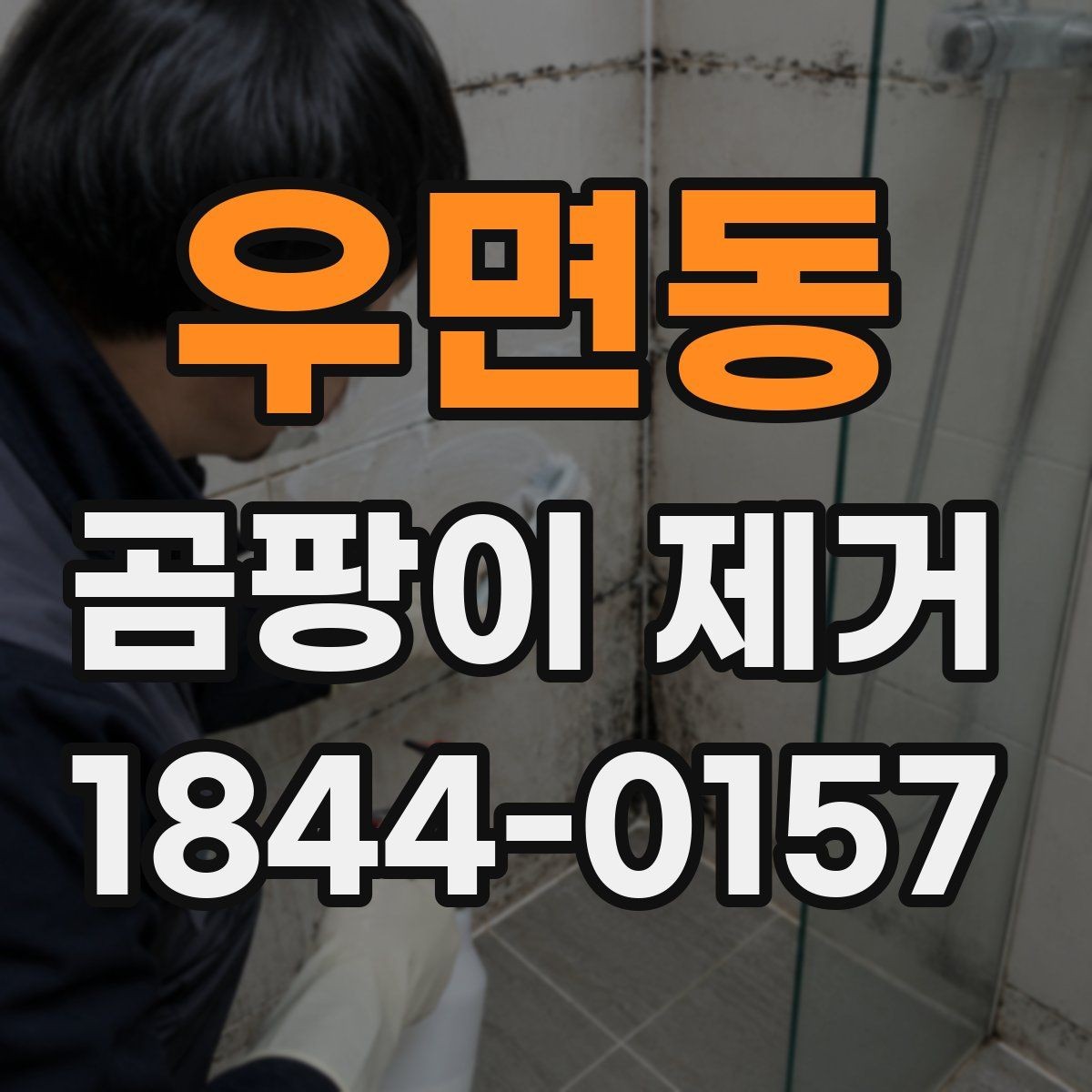 우면동 곰팡이 제거 화장실 인접 벽면에서 자주 생기는 이유