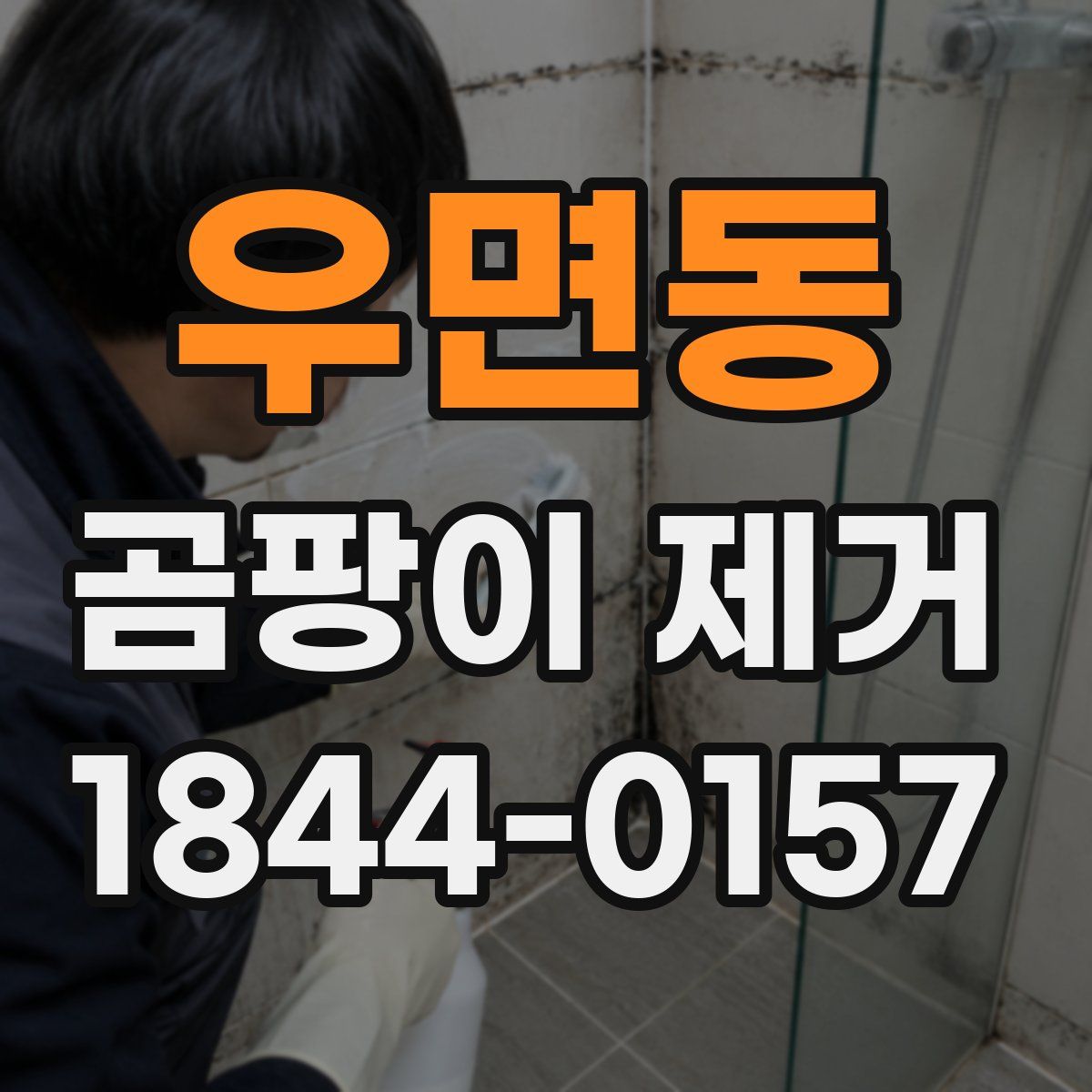 우면동 곰팡이 제거