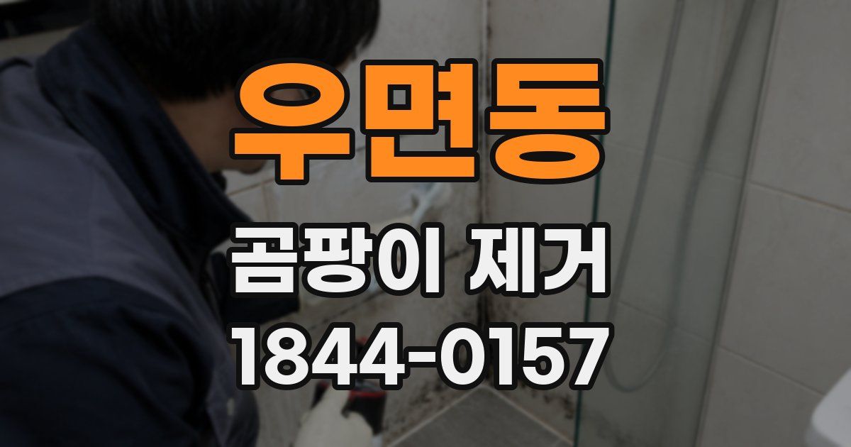 우면동 곰팡이 제거