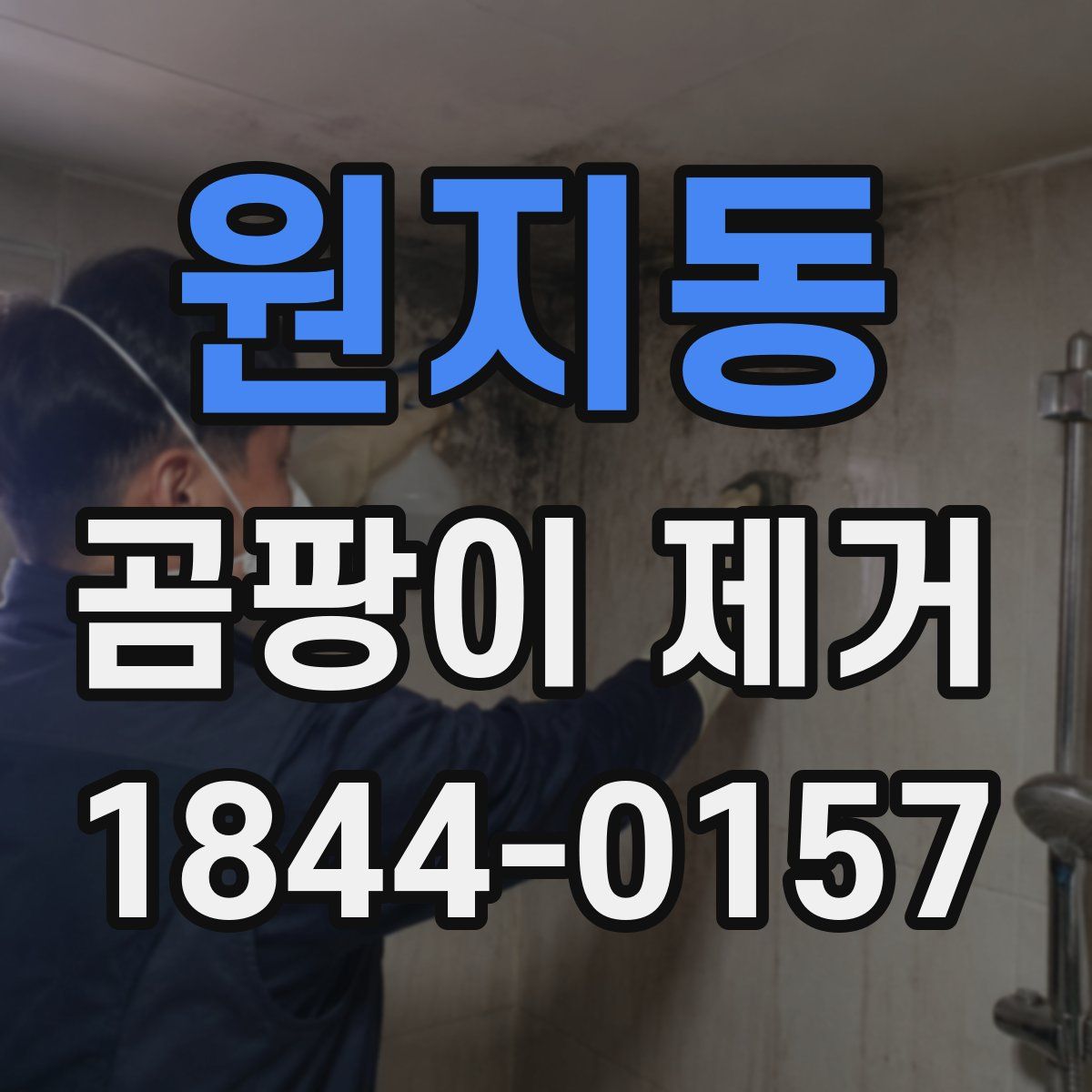원지동 곰팡이 제거