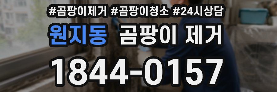원지동 곰팡이 제거