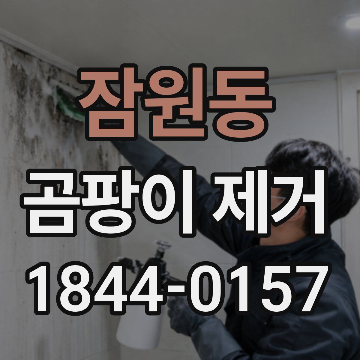 잠원동 곰팡이 제거