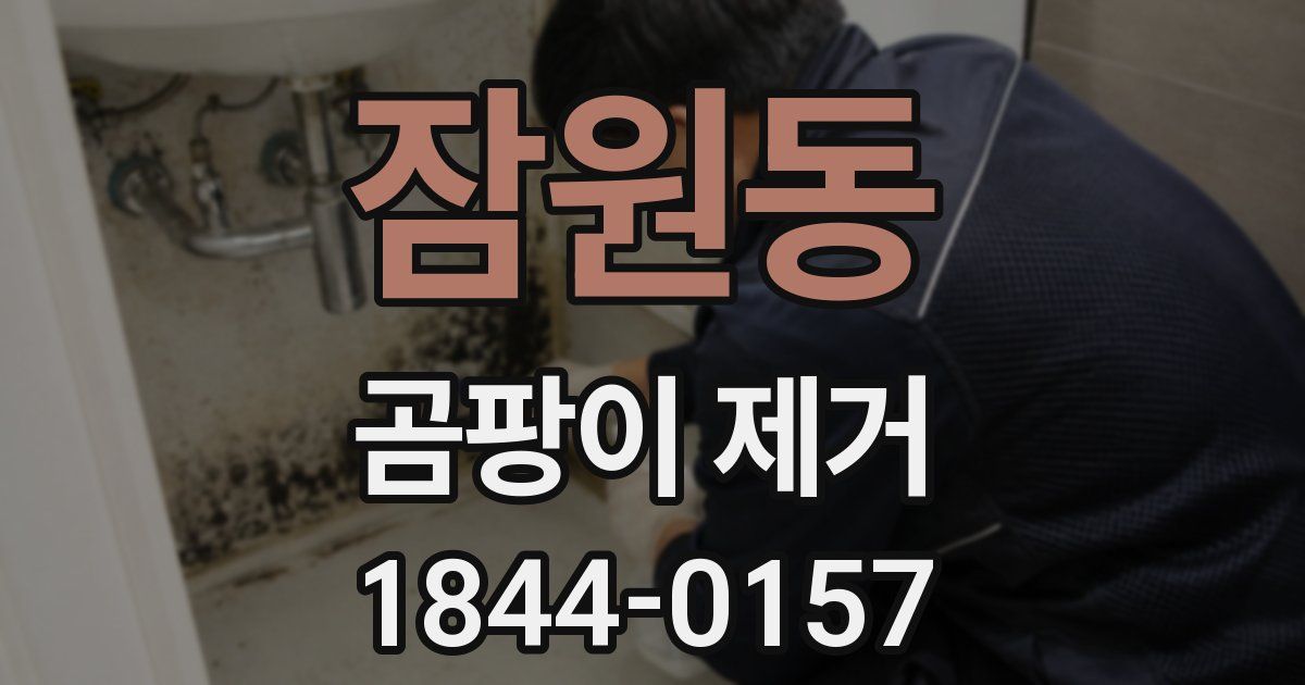 잠원동 곰팡이 제거