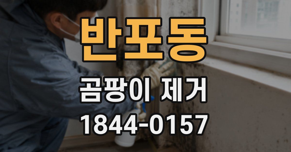 반포동 곰팡이 제거