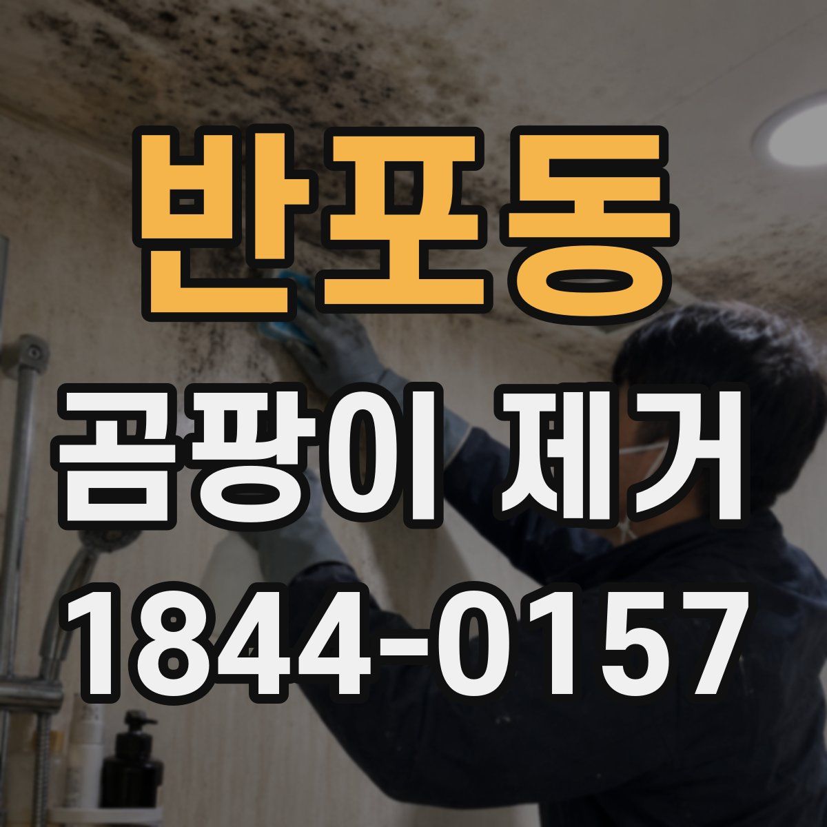 반포동 곰팡이 제거