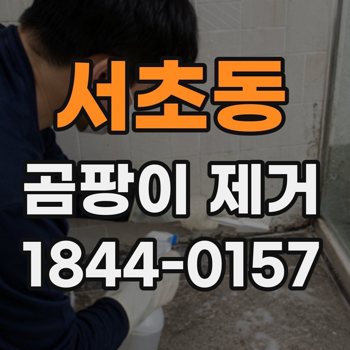 서초동 곰팡이 제거 벽면 상태를 보고 청소 범위 정하는 법