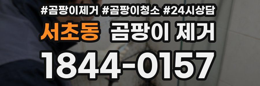 서초동 곰팡이 제거