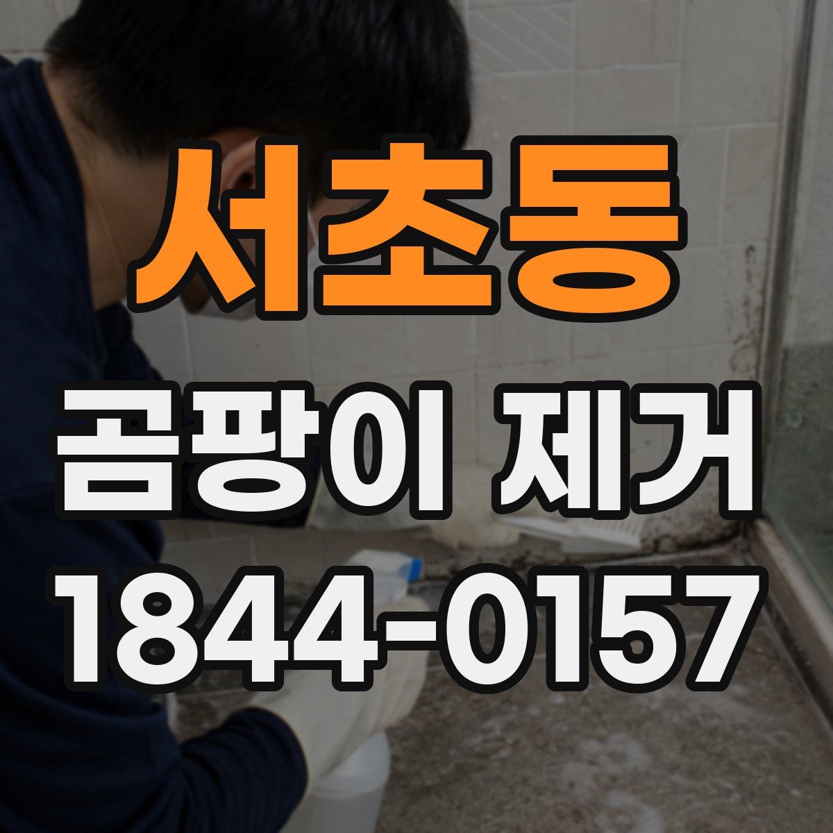 서초동 곰팡이 제거