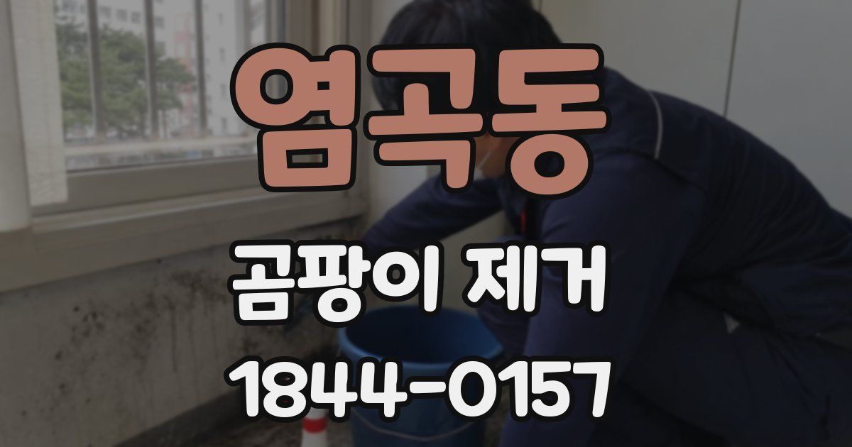 염곡동 곰팡이 제거