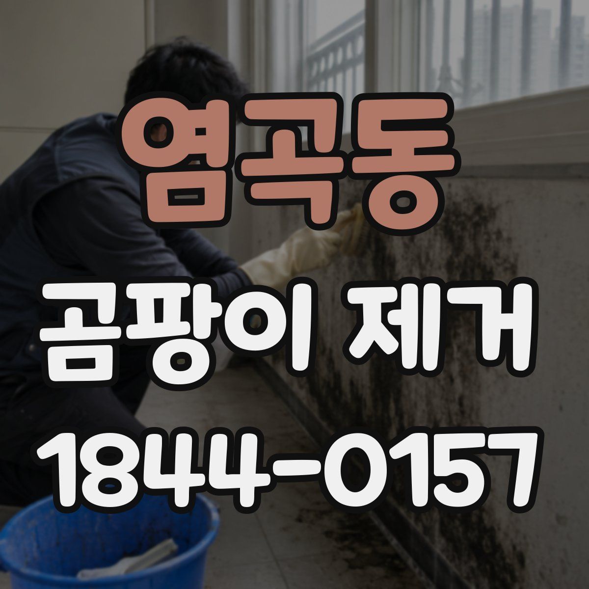 염곡동 곰팡이 제거