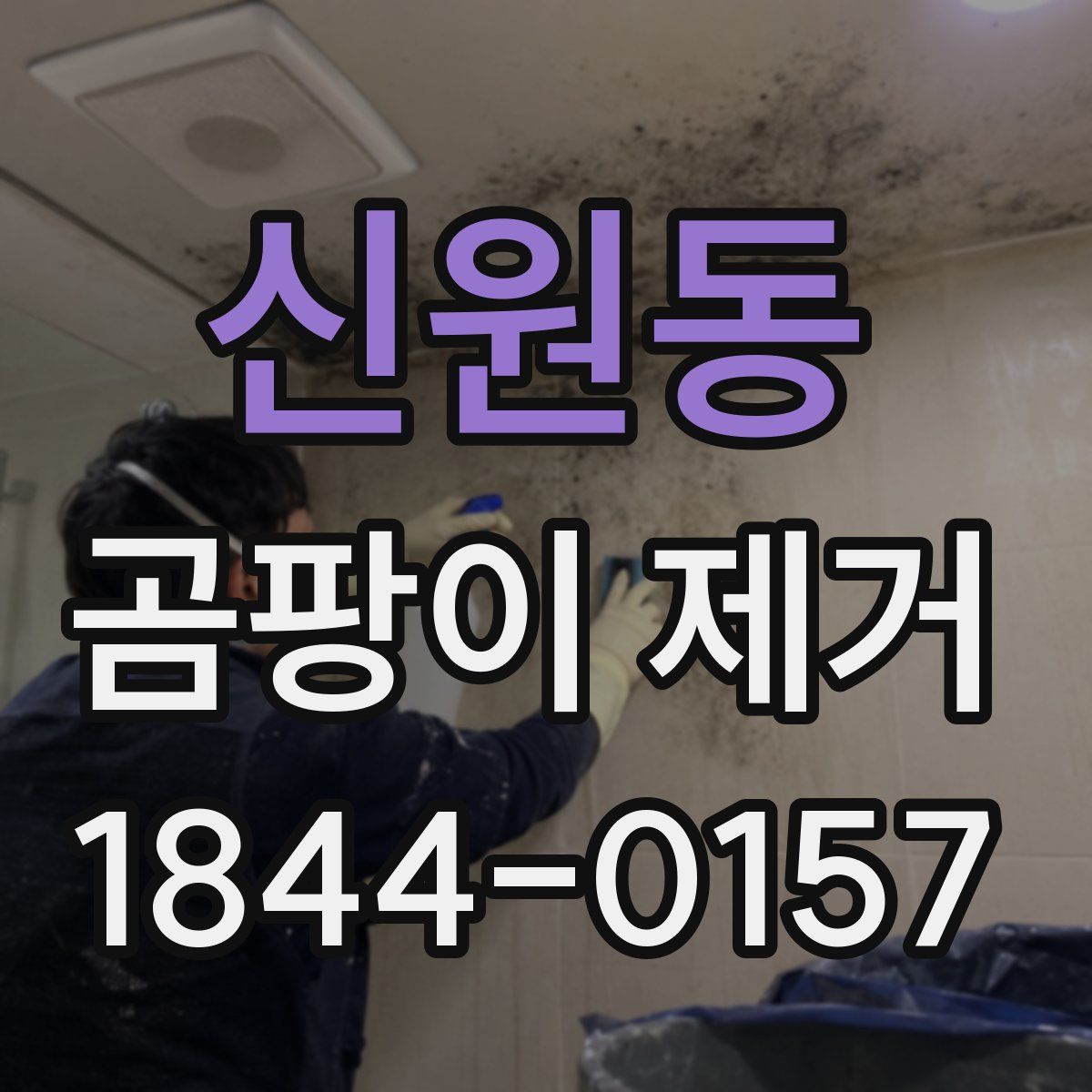 신원동 곰팡이 제거