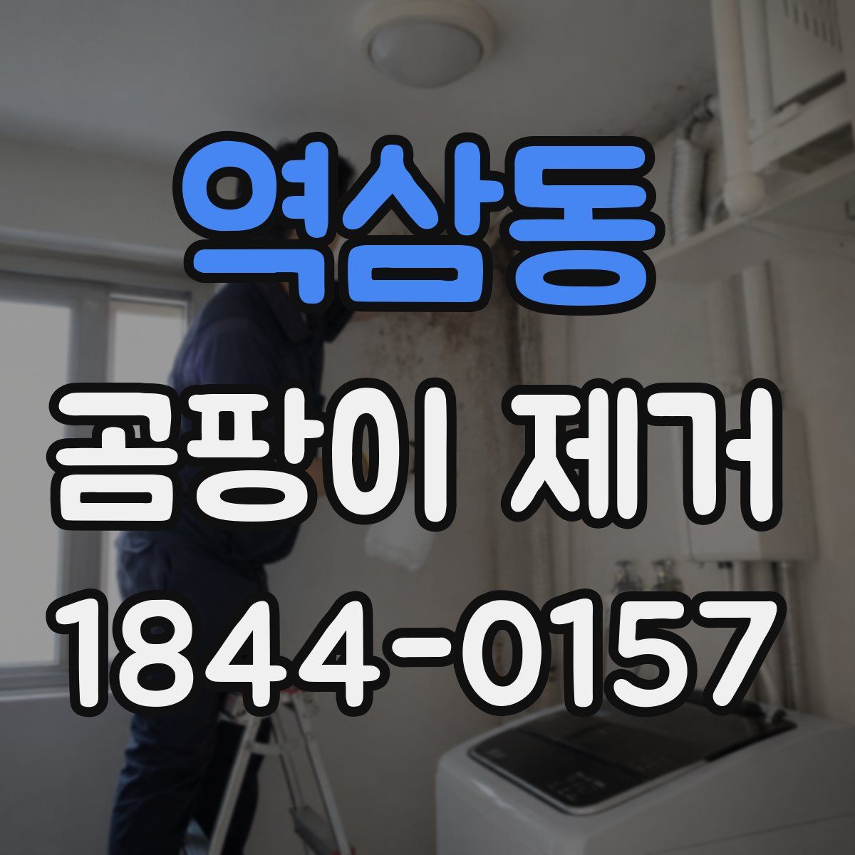 역삼동 곰팡이 제거