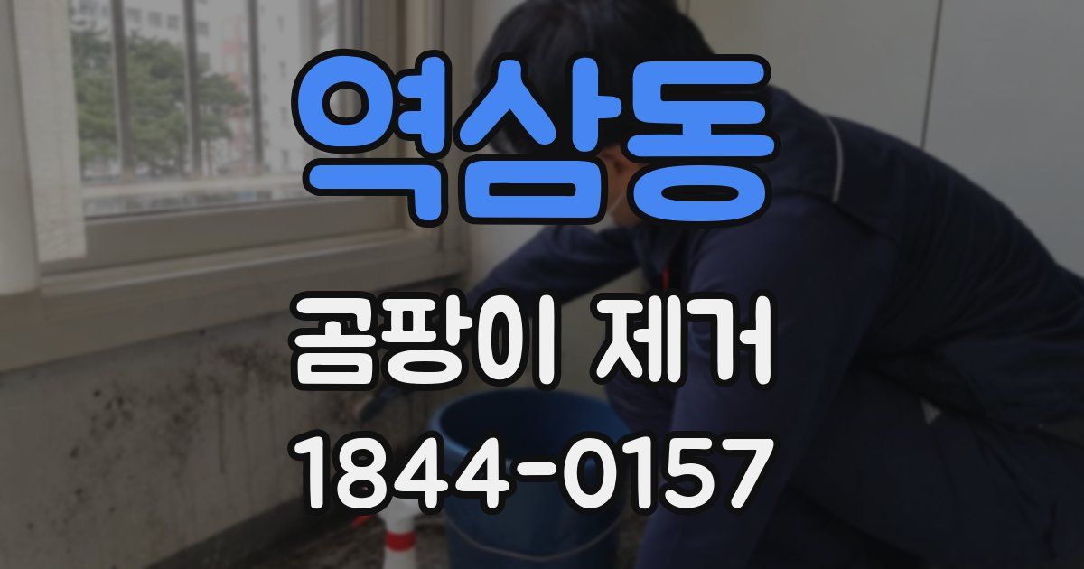 역삼동 곰팡이 제거
