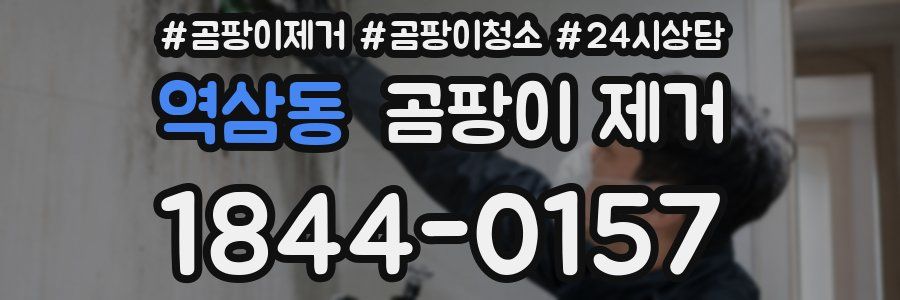 역삼동 곰팡이 제거
