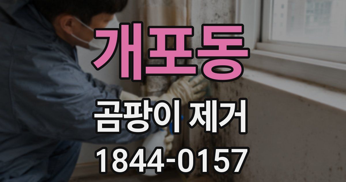 개포동 곰팡이 제거