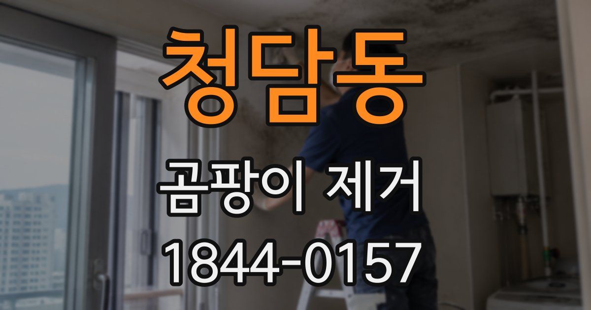 청담동 곰팡이 제거