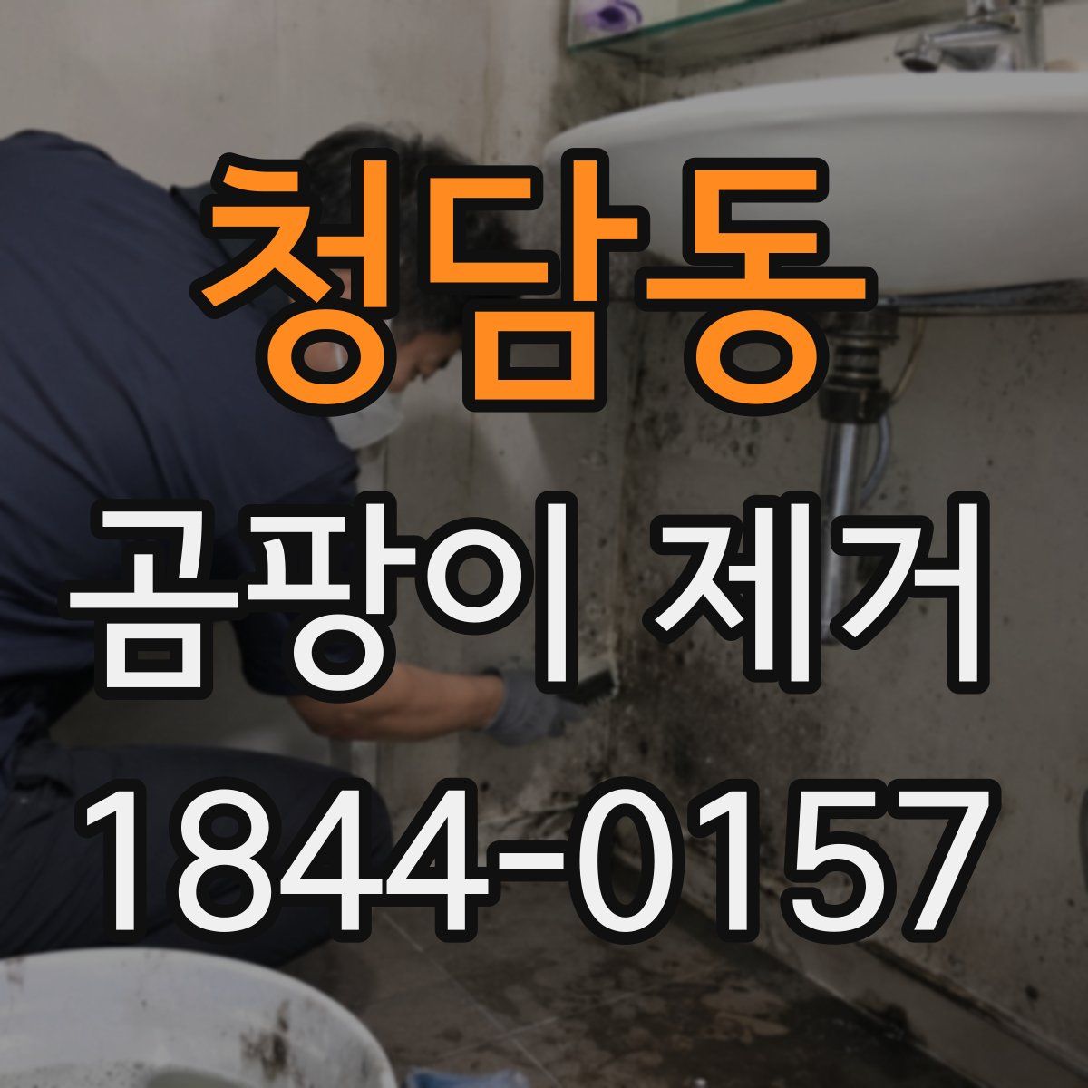 청담동 곰팡이 제거