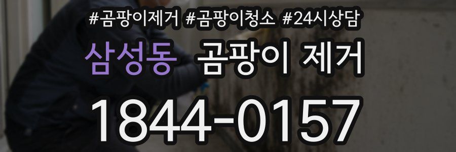 삼성동 곰팡이 제거