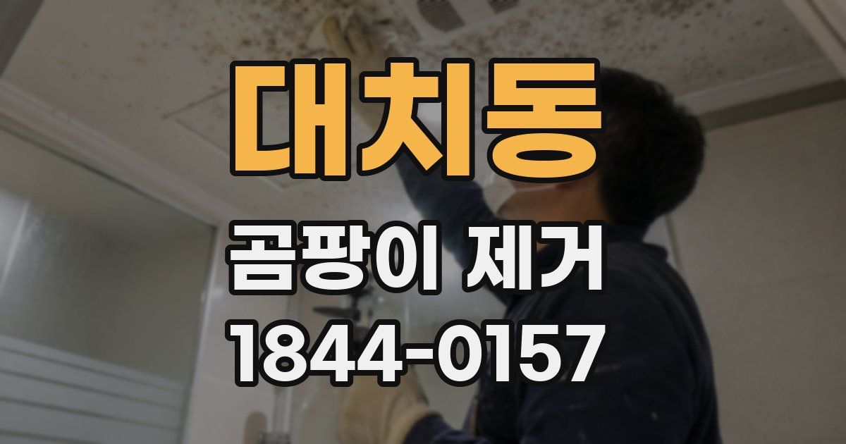 대치동 곰팡이 제거