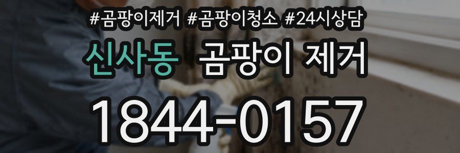 신사동 곰팡이 제거