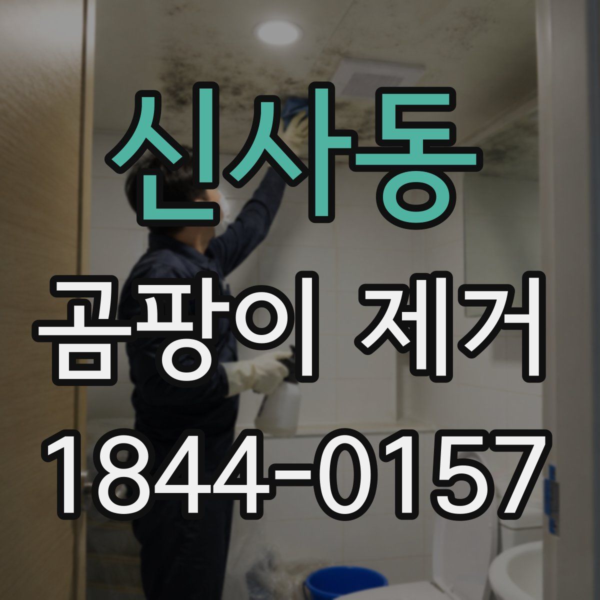 신사동 곰팡이 제거