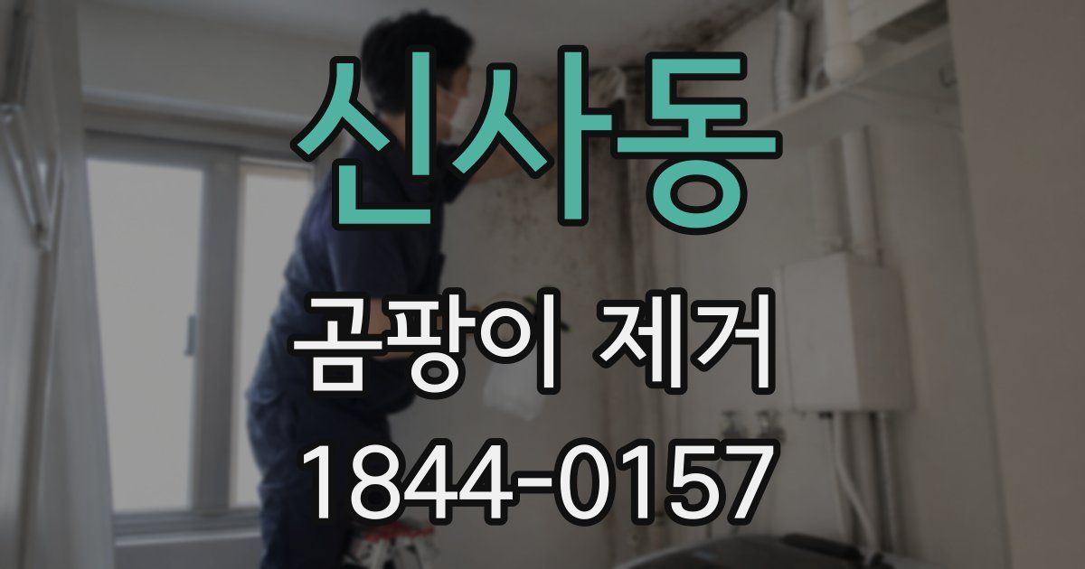 신사동 곰팡이 제거