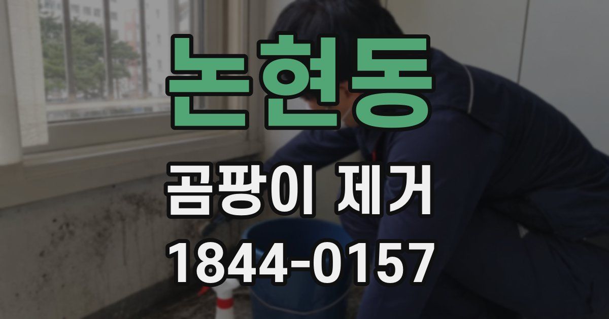 논현동 곰팡이 제거