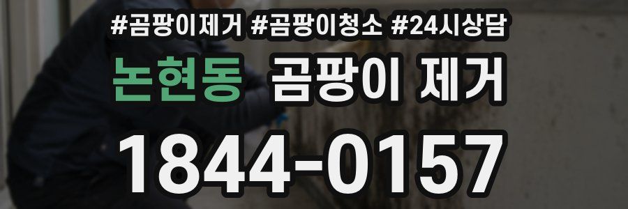 논현동 곰팡이 제거