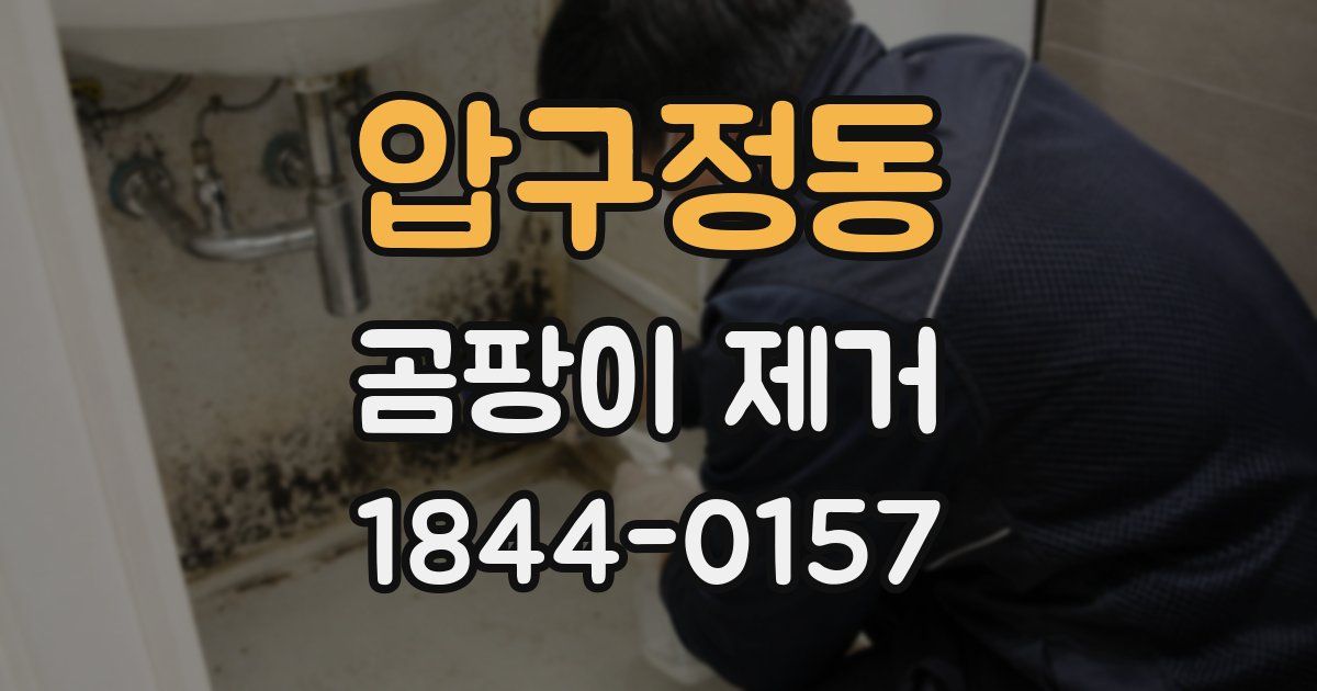 압구정동 곰팡이 제거
