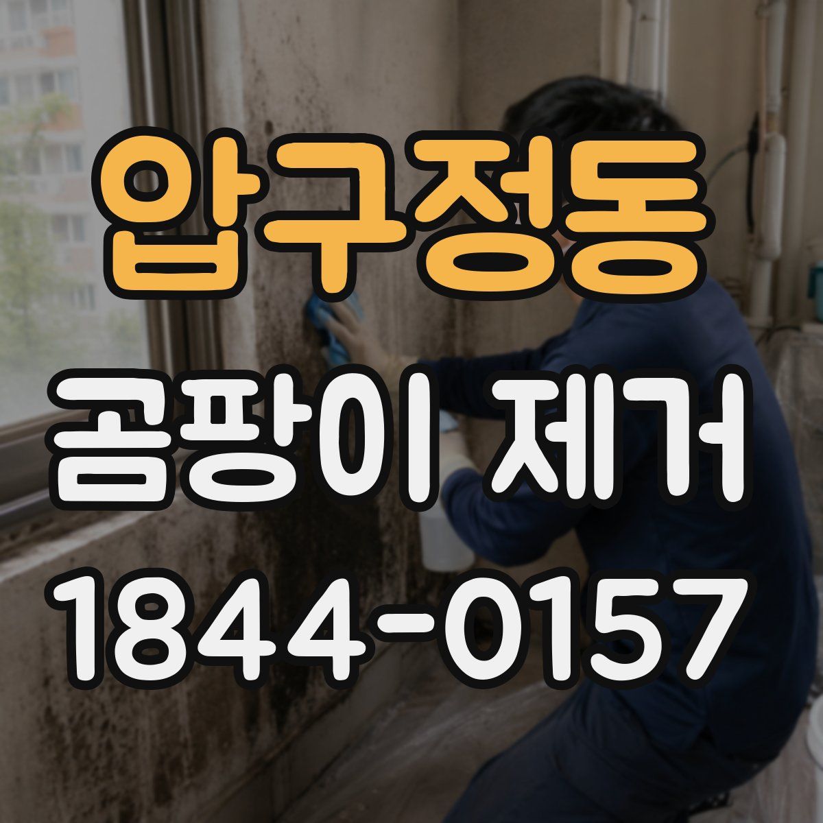 압구정동 곰팡이 제거