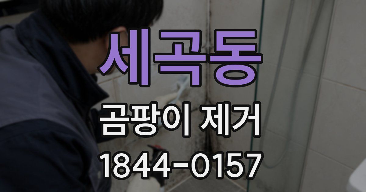 세곡동 곰팡이 제거
