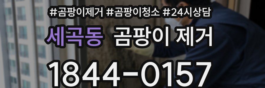 세곡동 곰팡이 제거