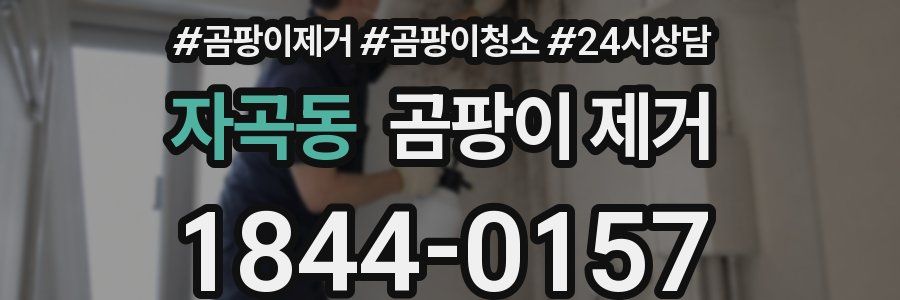 자곡동 곰팡이 제거