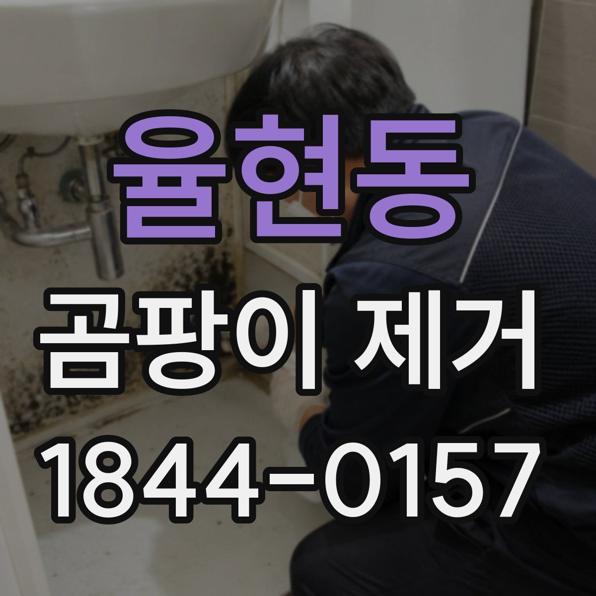 율현동 곰팡이 제거