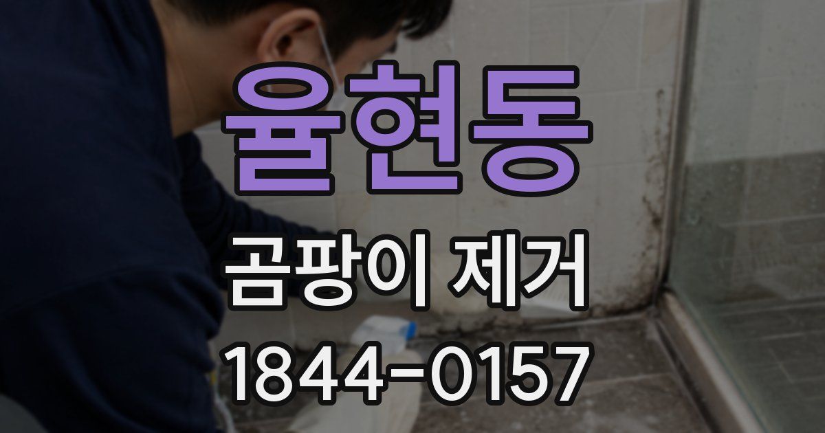 율현동 곰팡이 제거