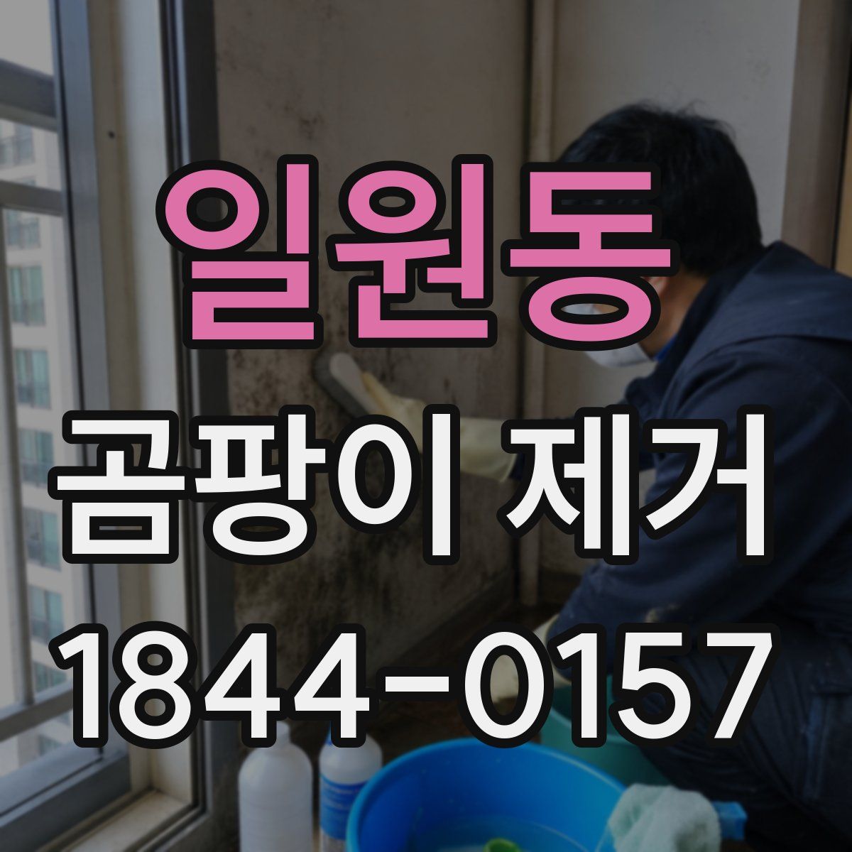 일원동 곰팡이 제거