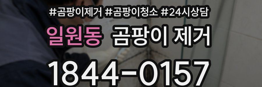 일원동 곰팡이 제거