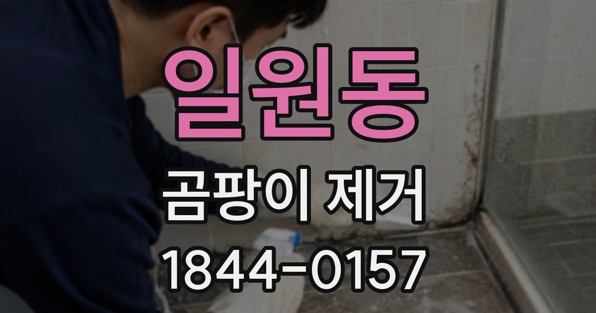 일원동 곰팡이 제거