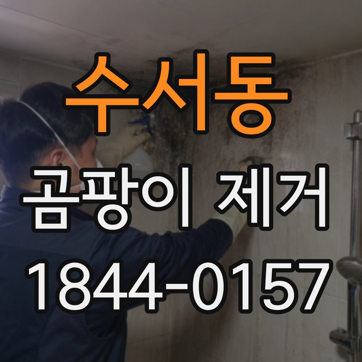 수서동 곰팡이 제거