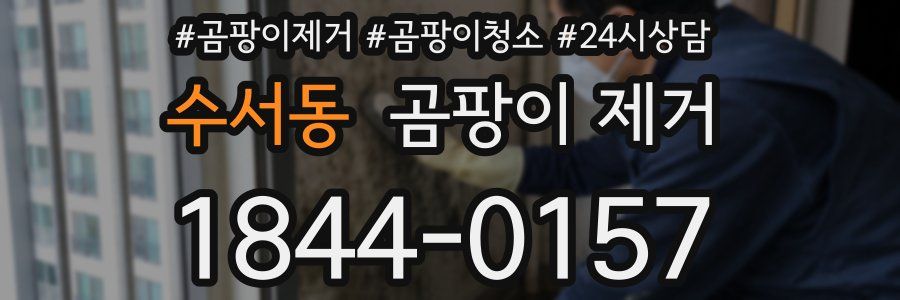 수서동 곰팡이 제거