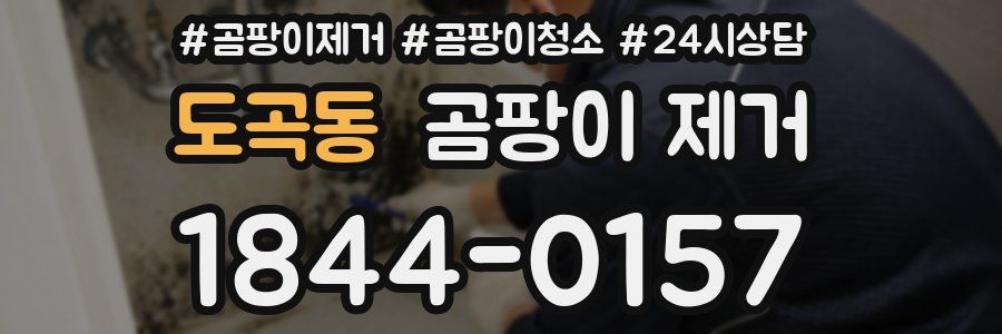 도곡동 곰팡이 제거