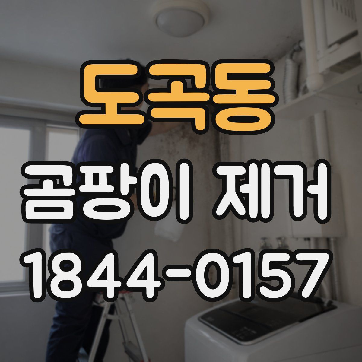 도곡동 곰팡이 제거