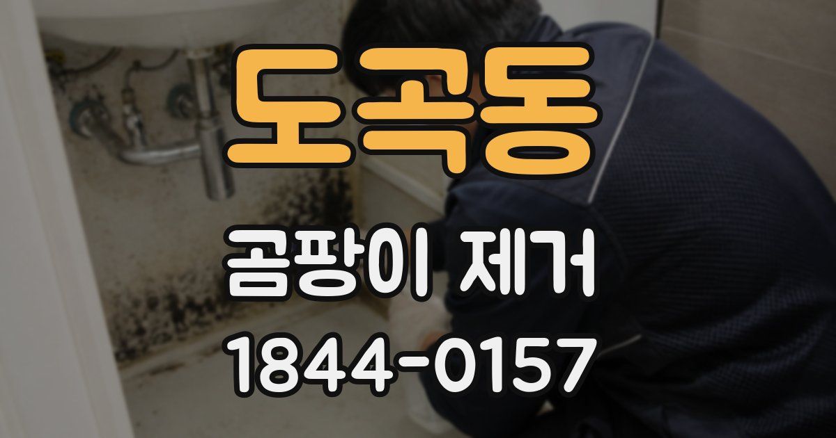 도곡동 곰팡이 제거