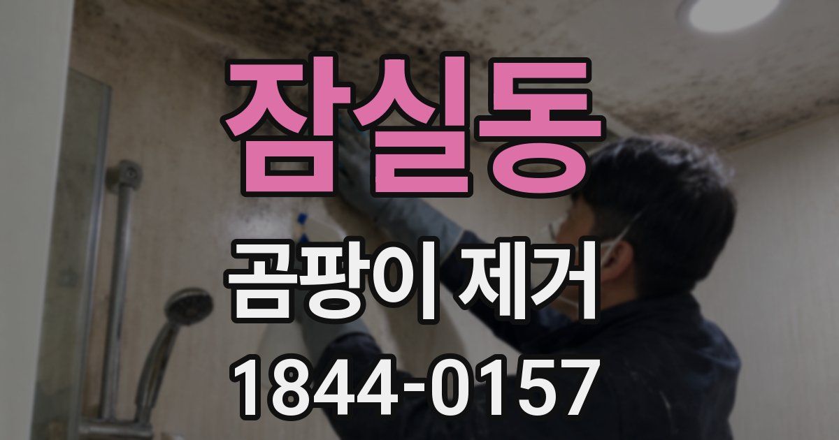 잠실동 곰팡이 제거