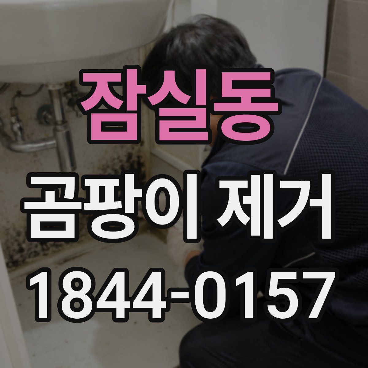 잠실동 곰팡이 제거