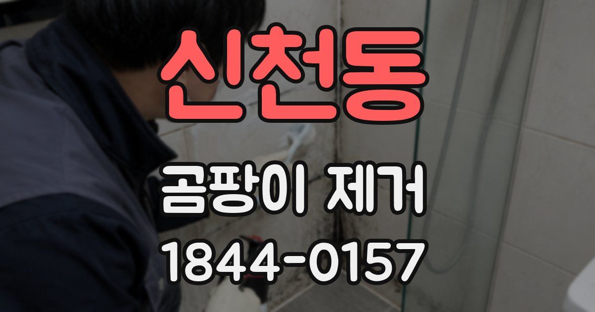 신천동 곰팡이 제거