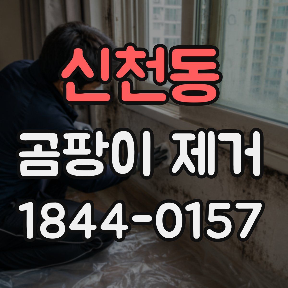 신천동 곰팡이 제거