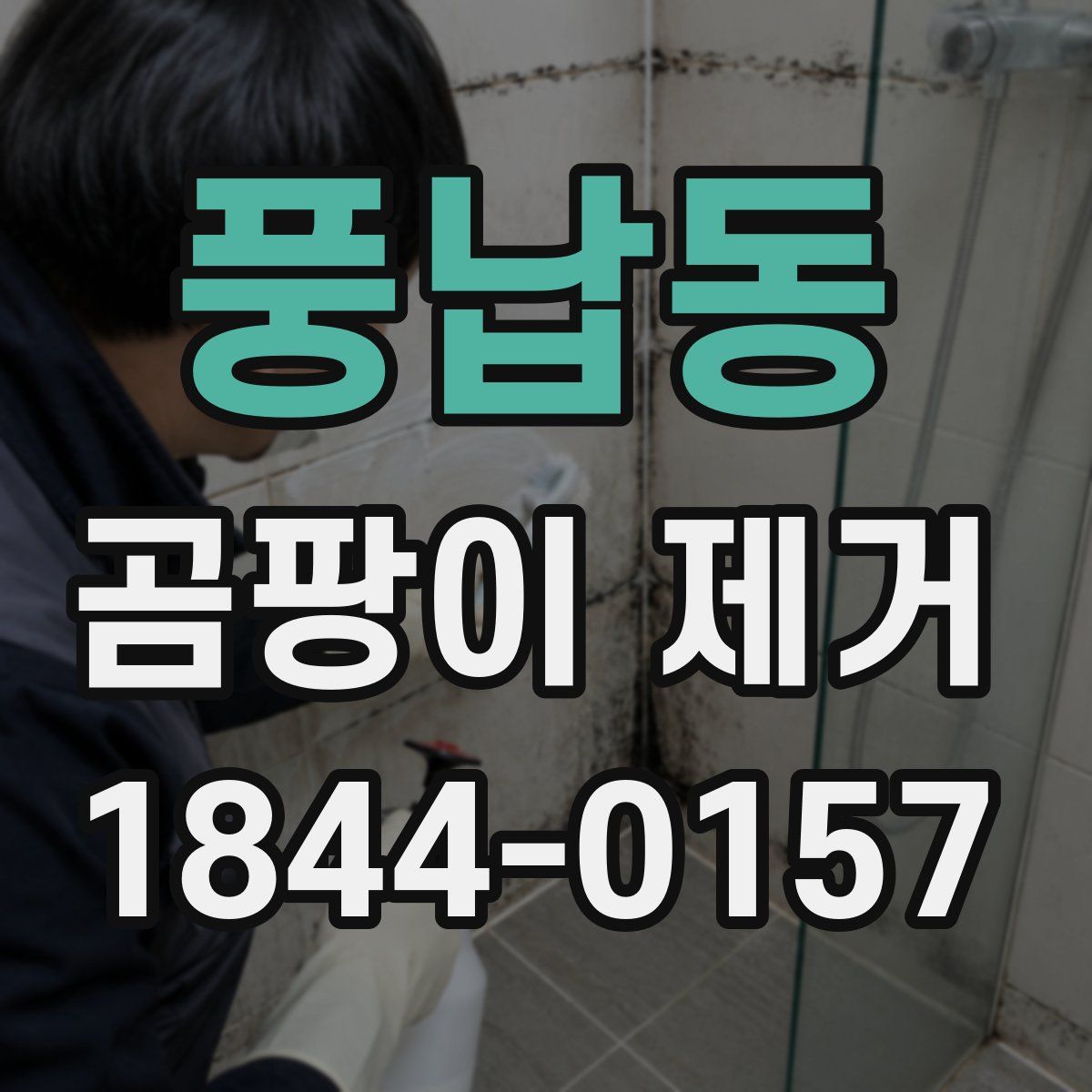 풍납동 곰팡이 제거