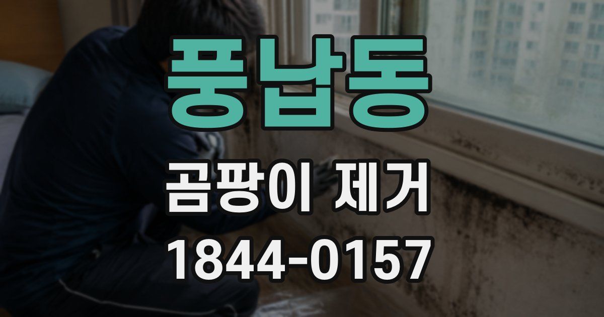 풍납동 곰팡이 제거
